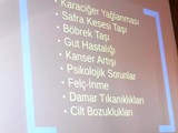 acerrhaoglu29