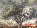 CIMG2725